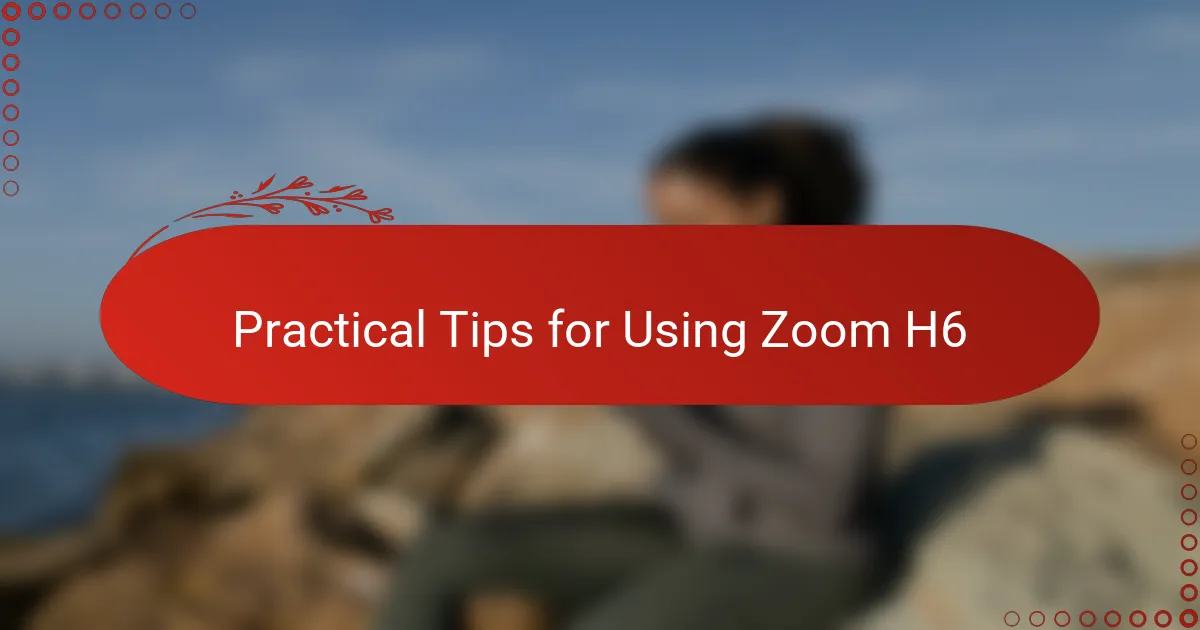 Practical Tips for Using Zoom H6